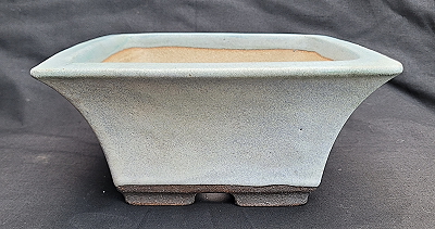 walsall ceramics bonsai pot at green dragon bonsai